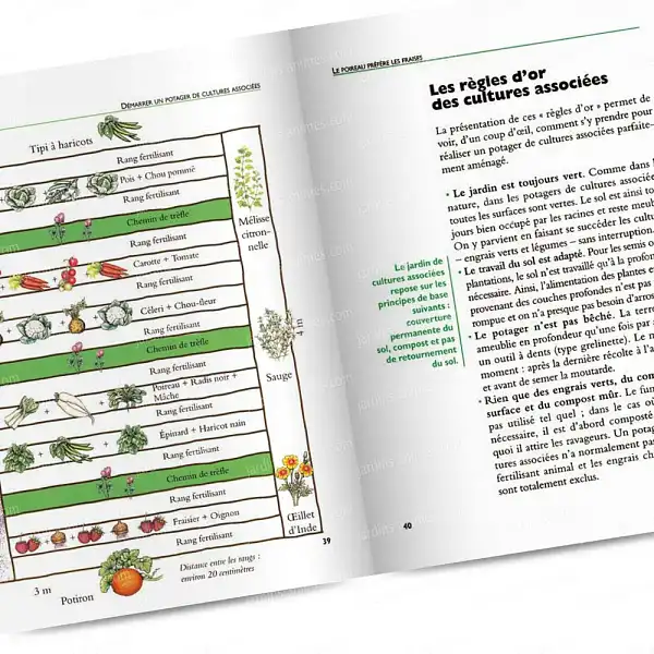 livre poireau demarrer potager