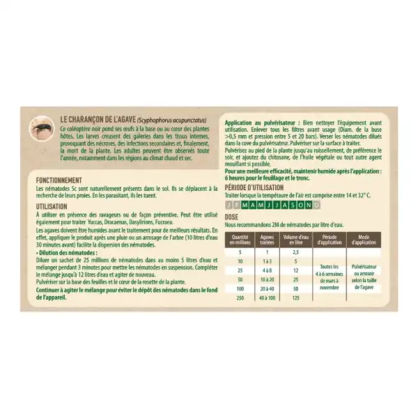 lutte bio charancon agave yucca