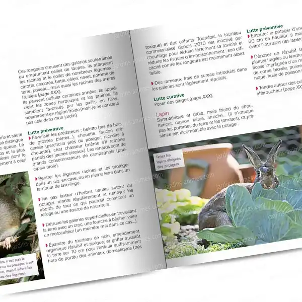 lutte preventive potager 1200