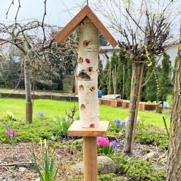 maison coccinelles jardin