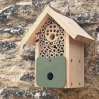 Hôtel à insectes - maison en bois 21 cm
