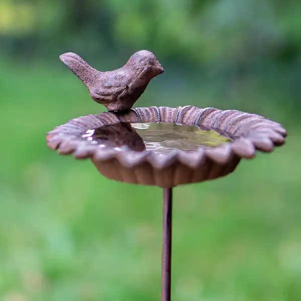 mangeoire bain oiseau tournesol