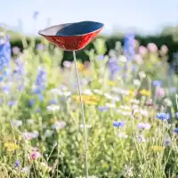 Coquelicot Mangeoire ou buvette en Céramique rouge x1 - diam.10cm