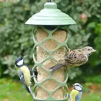 Mangeoire à oiseaux La Pause gourmande - cylindre de graisse ou boules  Mangeoire à oiseaux La Pause gourmande - cylindre de graisse ou boules