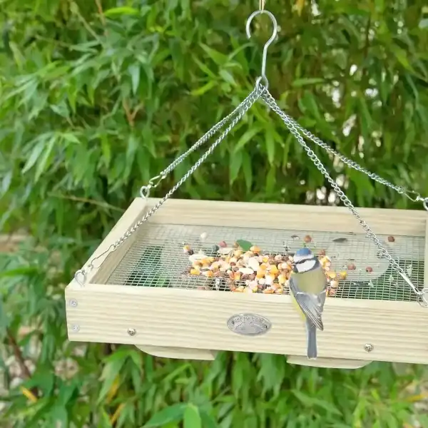 mangeoire oiseaux bois grillage