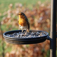 Multi station alimentation oiseaux