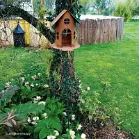 Mangeoire oiseau décorative maison