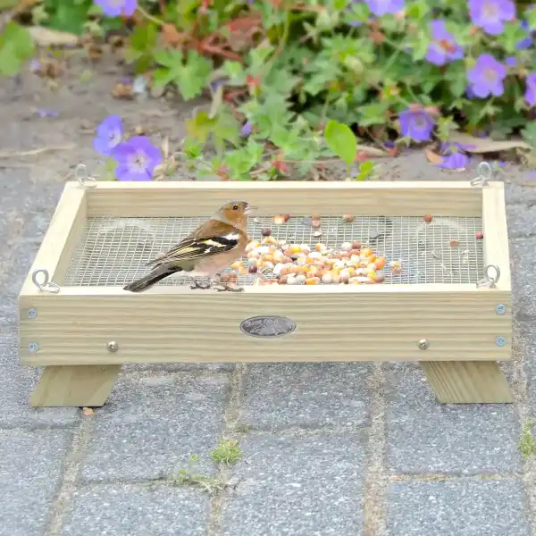 mangeoire sol oiseaux herisson