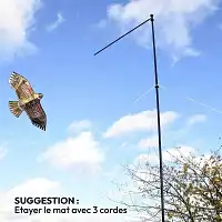 Effaroucheur epouvantail oiseau cerf volant avec mât