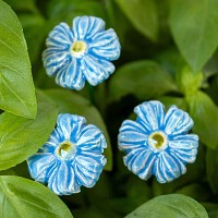 Mini bleuet bleu clair - Fleur en céramique sur tige à planter