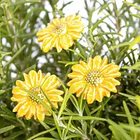 Petite marguerite des prés jaune - Fleur en céramique sur tige à planter