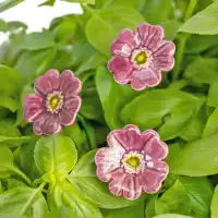 Mini pavot violet - Fleur en céramique sur tige à planter