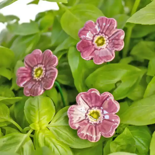 mini pavot ceramique violet