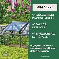 Mini serre de jardin - Châssis froid en aluminium noir et verre trempé L.124 x l.89 x H.71cm