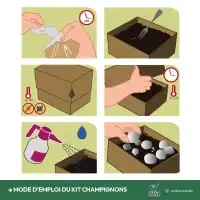 Boîte de champignons de Paris blancs BIO à faire pousser