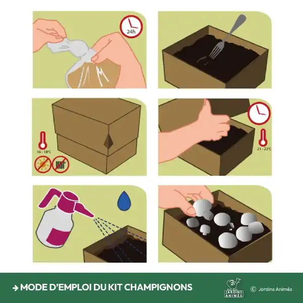 mode emploi kit culture champignons