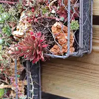 Croix funéraire en grillage à poule 47x34cm