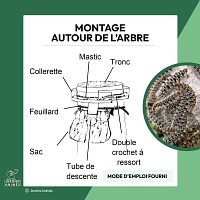Eco Piège contre chenille processionnaire du pin écorce