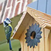 Nichoir pour mésange bleue 28mm  Nichoir pour mésange bleue 28mm