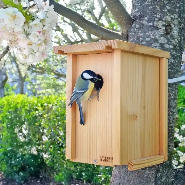 nichoir mesange kit enfant
