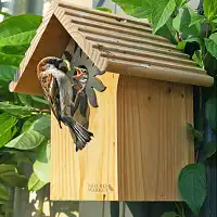 Nichoir pour mésange charbonnière 34mm  Nichoir pour mésange charbonnière 34mm