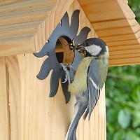 Nichoir pour mésange charbonnière 34mm