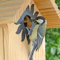 Nichoir pour mésange charbonnière 34mm  Nichoir pour mésange charbonnière 34mm