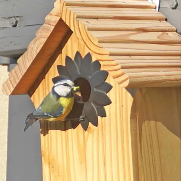 nichoir pour mesange bleue  nichoir pour mesange bleue