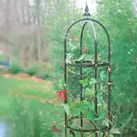 Tuteur colonne - Obélisque floral D.37 x H.210cm