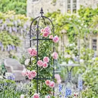Tuteur colonne - Obélisque floral D.37 x H.210cm