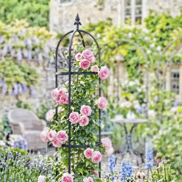 obelisque metal support grimpante