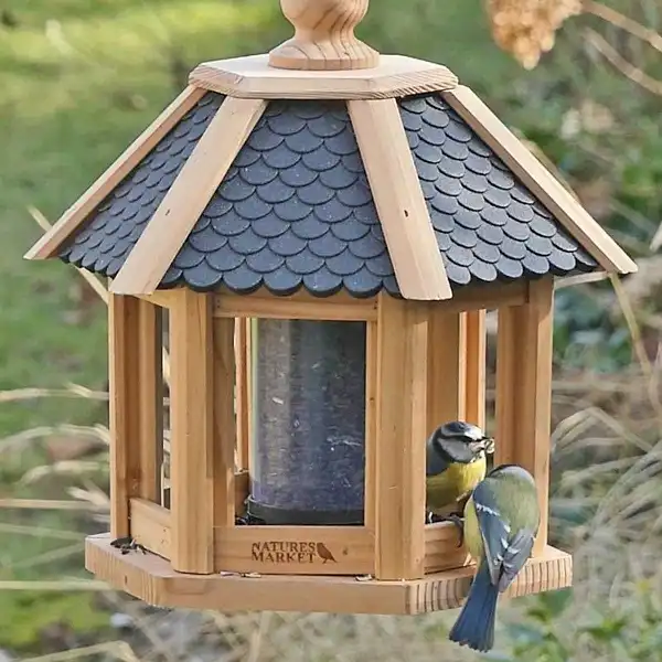 oiseaux graines tournesol noir