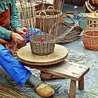 Osier sec pour tressage 100-120cm - Botte de 5kg  Osier sec pour tressage 100-120cm - Botte de 5kg