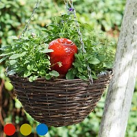 Olla réserve d'eau pour pot et jardinière 30cl