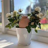 Oyas à planter ou enterrer brut - Réserve d'eau 45cl