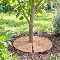 10 disques de paillage en jute pour plantes et arbustes - D.40cm