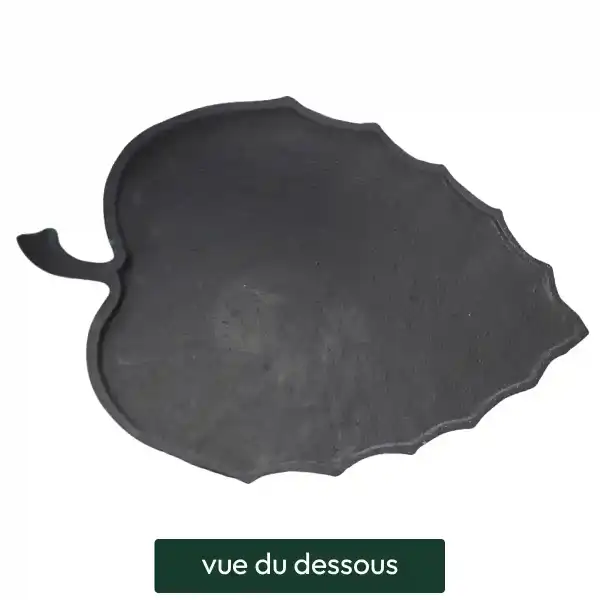pas japonais feuille charme vue dessous
