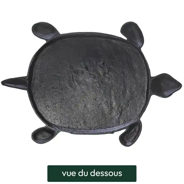 pas japonais feuille tortue vue dessous