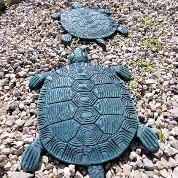 pas japonais fonte modele tortue bleue