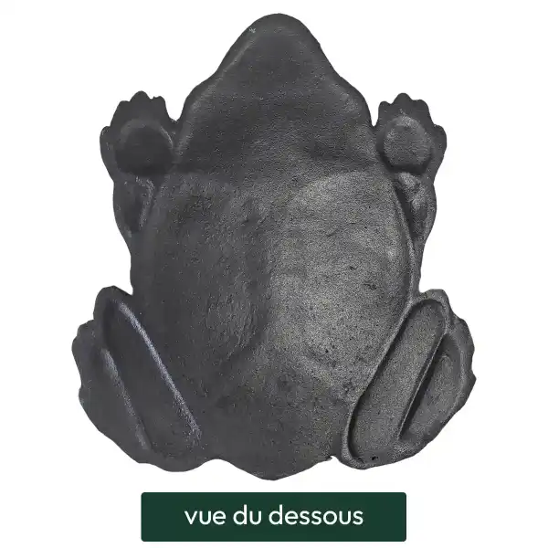 pas japonais grenouille vue dessous