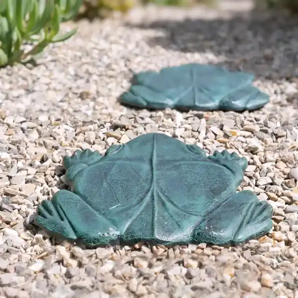pas japonais modele grenouille