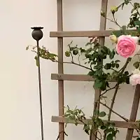 Pavot boule sur tige en métal rouillé