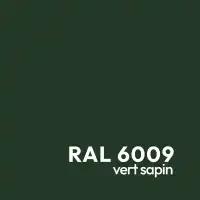 Trompe l'oeil en acier vert - L. 72 x H. 144 cm