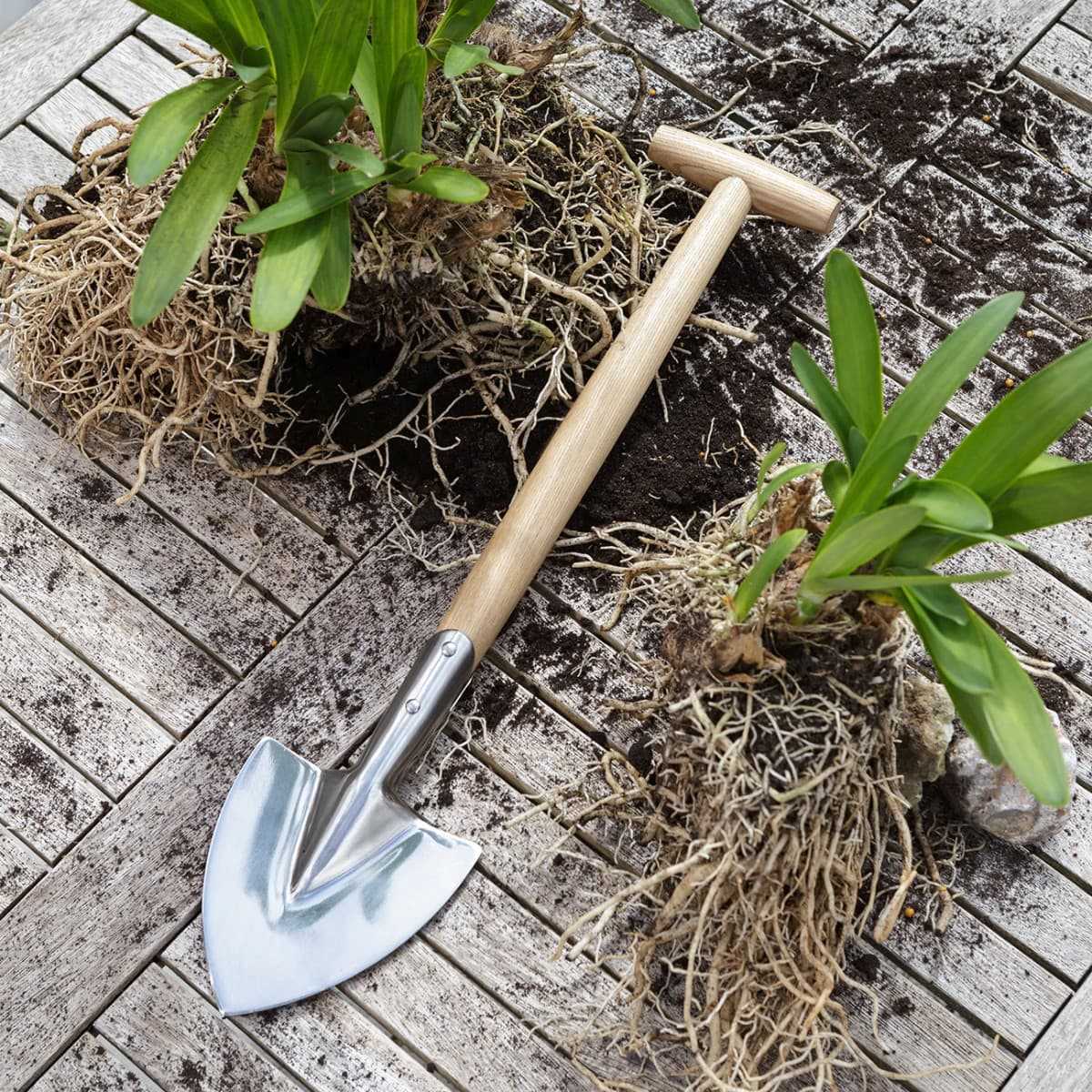Pelle de jardin outils à main portables petite pelle à pointe pour travaux  de