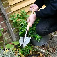 Petite pelle à plantation