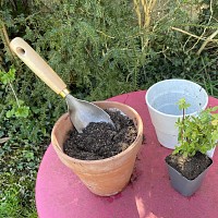 Pelle à main en bois et inox