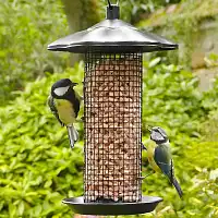 Pépites de graisse végétale pour oiseaux