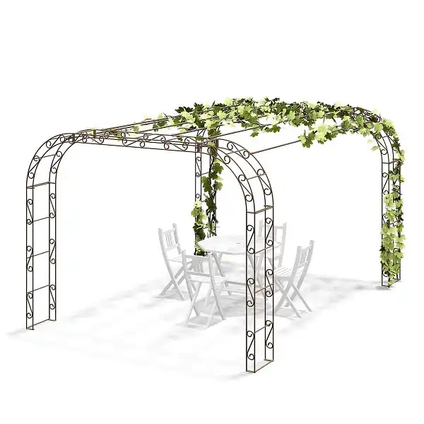pergola plante grimpante arcade