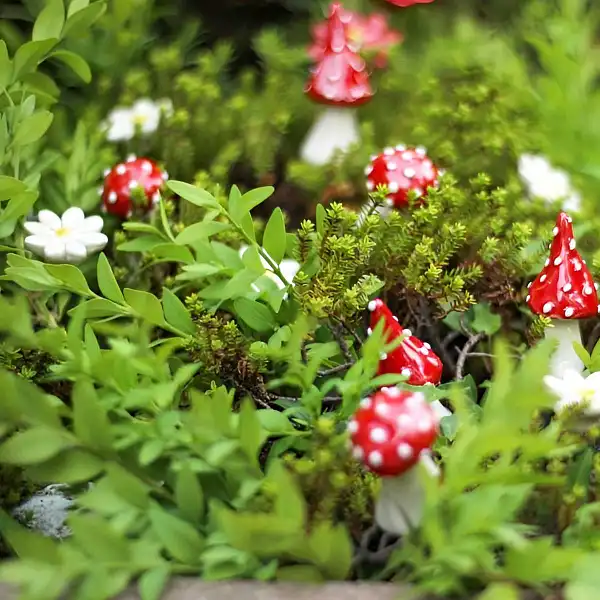 petit champignon amanite deco
