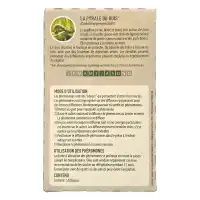 Phéromone contre la Pyrale du buis longue durée, Ginko Buxus - Protection saison complète